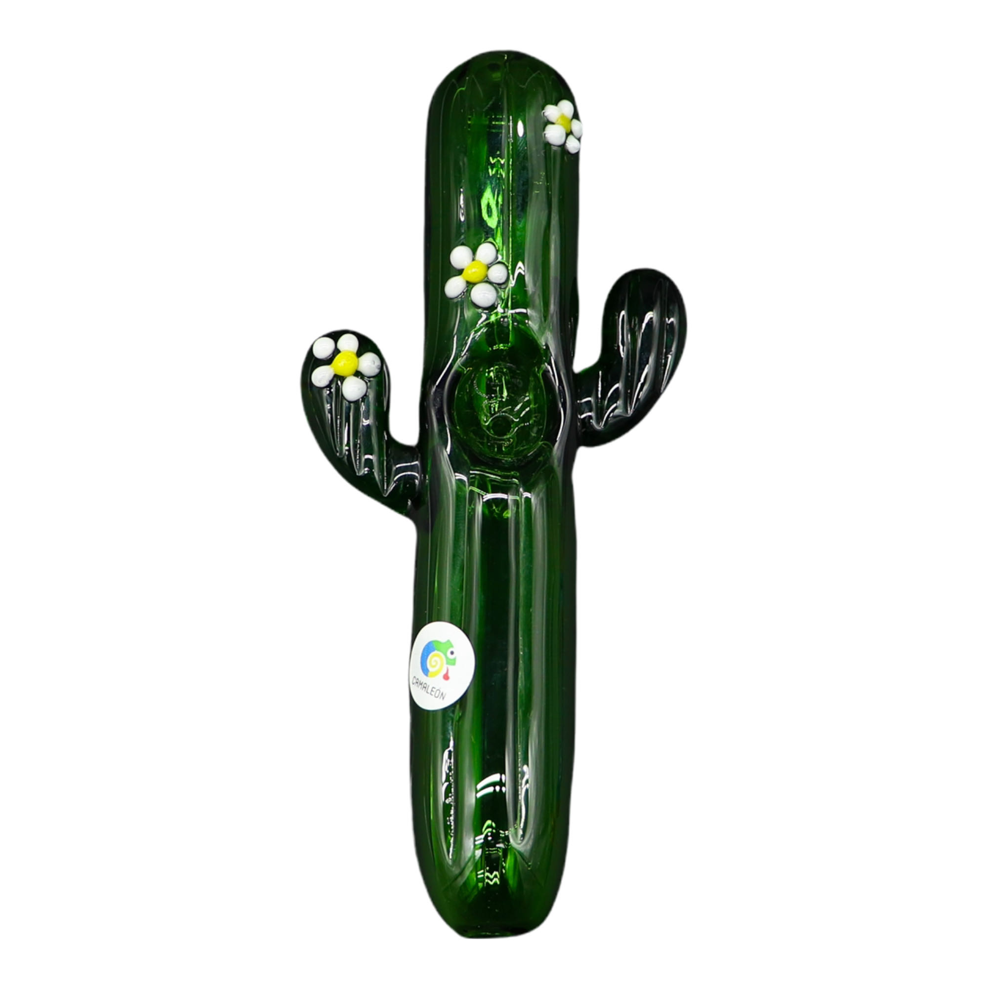 Pipa Cactus